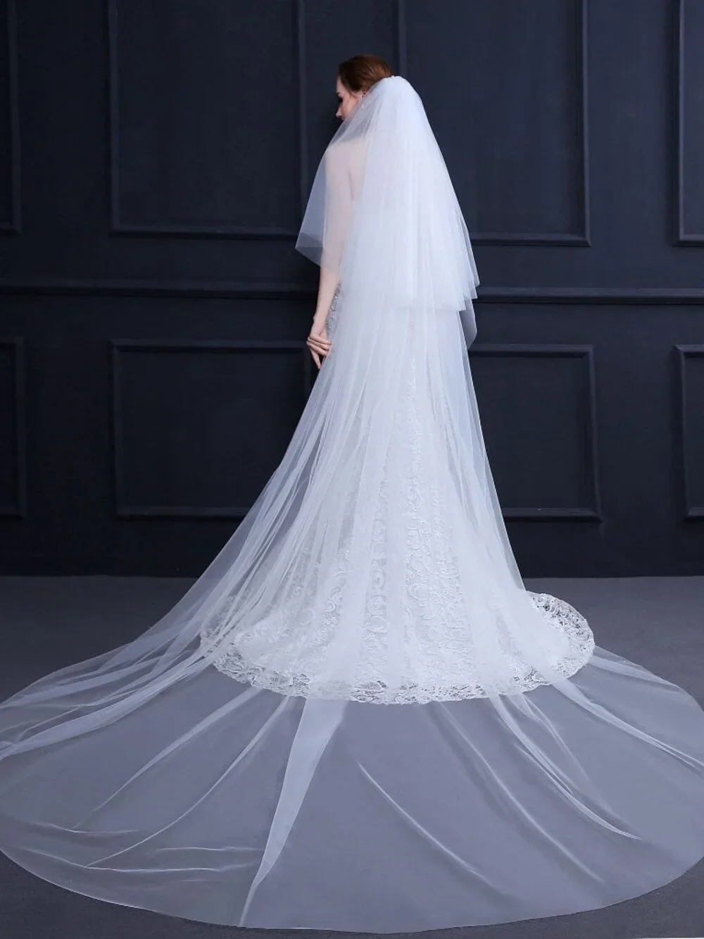 Minimalist 3M Cathedral Bridal Veil Simple Tulle Veil with Blusher